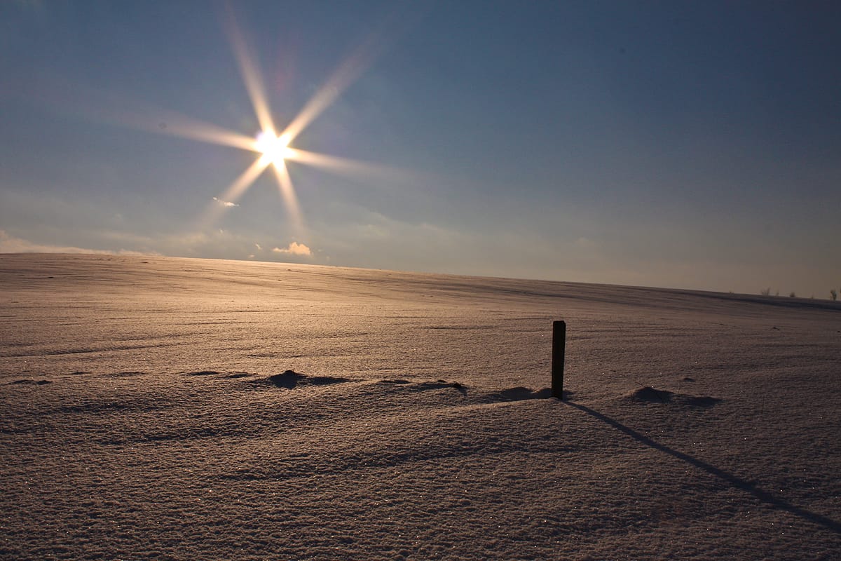 Schneelandschaft