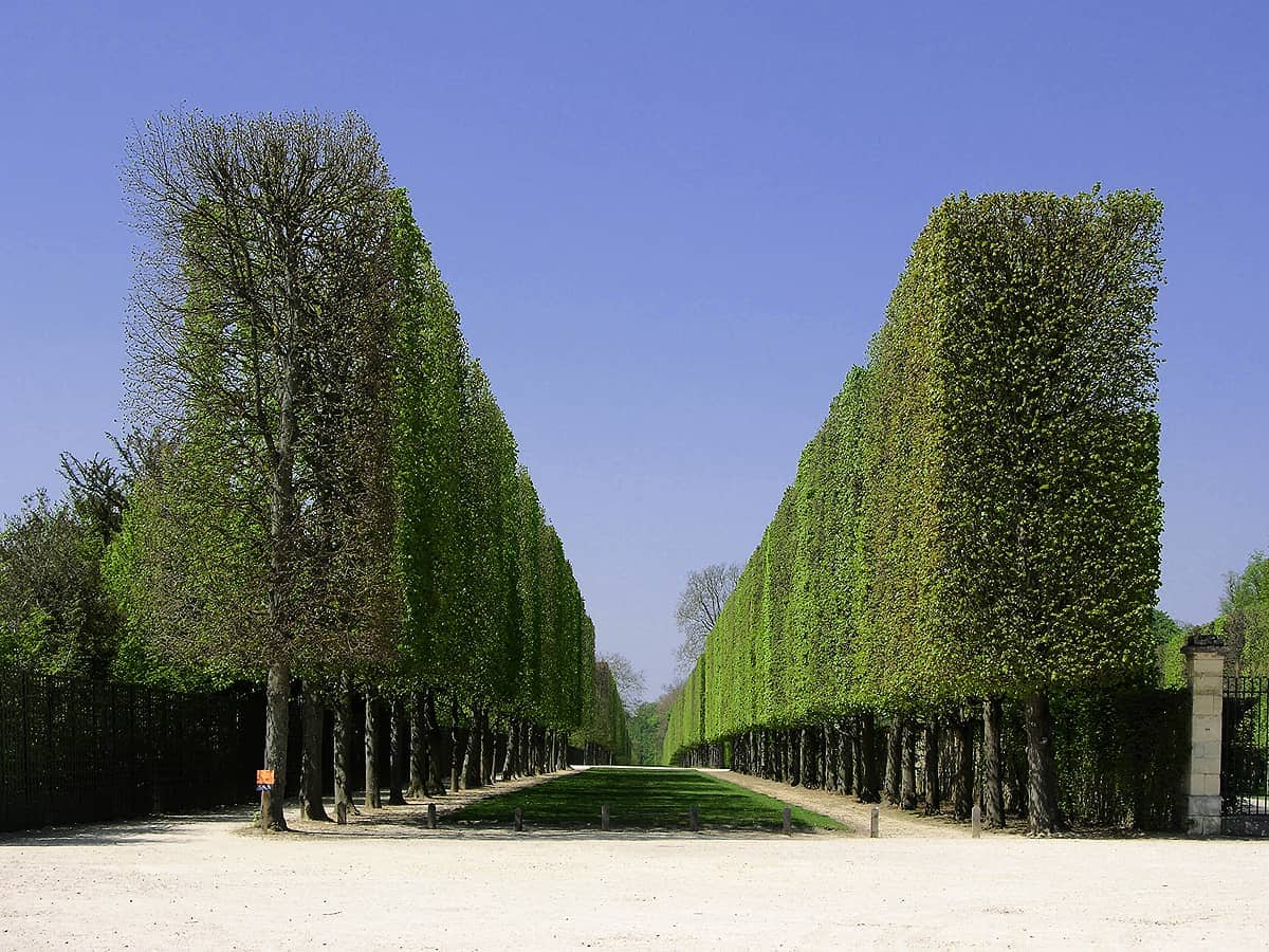 Schlossgarten Versailles